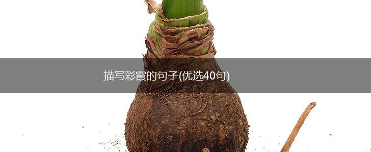 描写彩霞的句子(优选40句),第1张