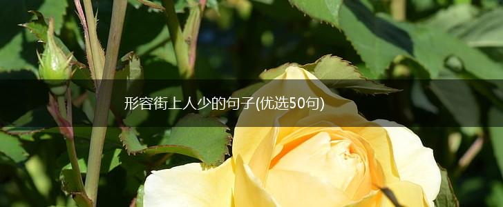 形容街上人少的句子(优选50句),第1张