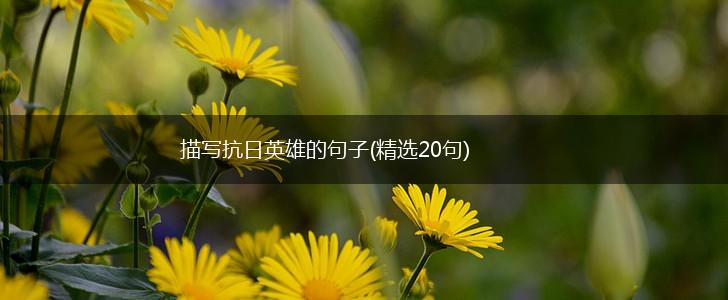 描写抗日英雄的句子(精选20句),第1张