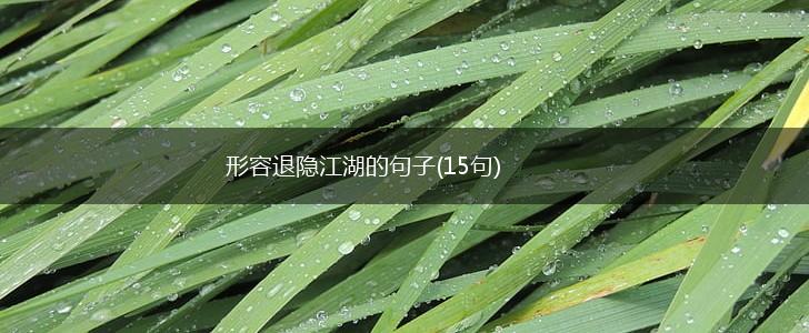 形容退隐江湖的句子(15句),第1张
