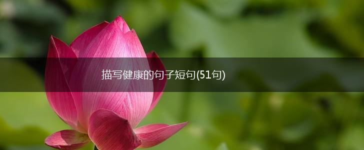 描写健康的句子短句(51句),第1张