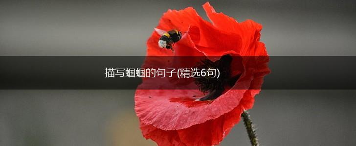 描写蝈蝈的句子(精选6句),第1张