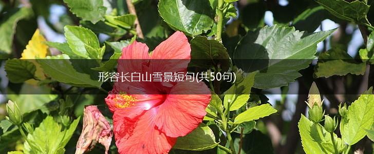 形容长白山雪景短句(共50句),第1张