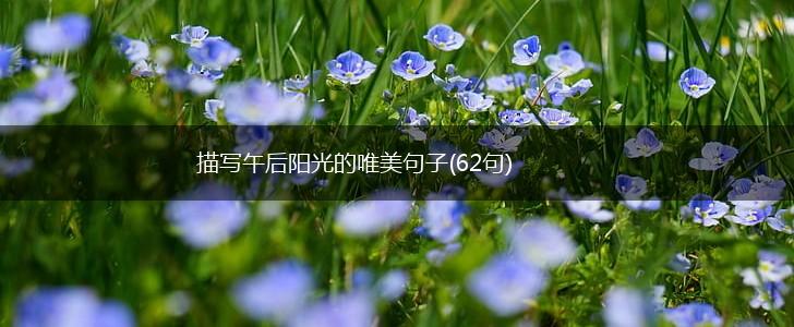 描写午后阳光的唯美句子(62句),第1张