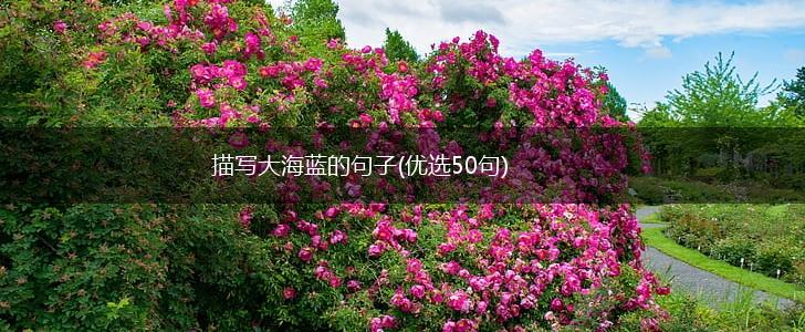 描写大海蓝的句子(优选50句),第1张