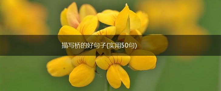 描写桥的好句子(实用50句),第1张