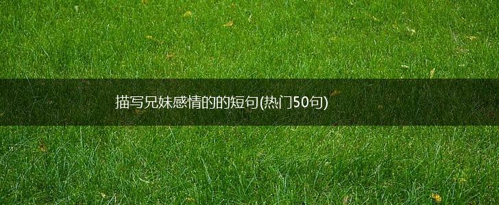 描写兄妹感情的的短句(热门50句),第1张