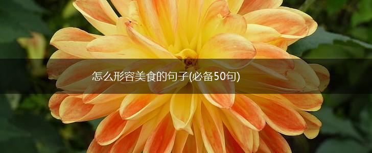 怎么形容美食的句子(必备50句),第1张