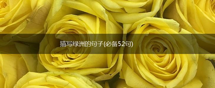 描写绿洲的句子(必备52句),第1张