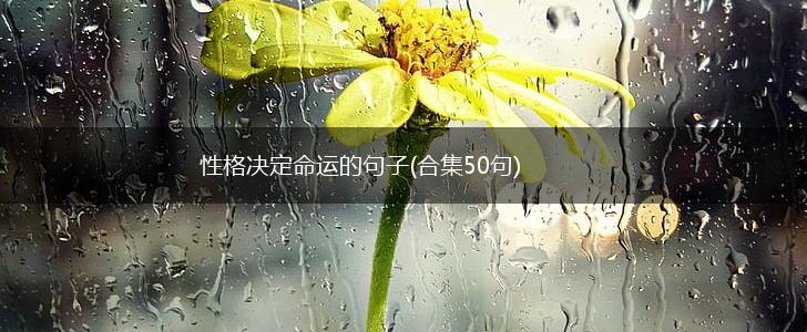 性格决定命运的句子(合集50句),第1张