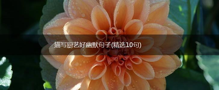 描写厨艺好幽默句子(精选10句),第1张