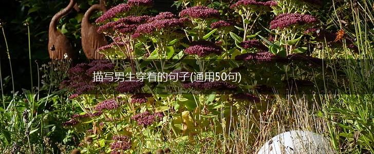 描写男生穿着的句子(通用50句),第1张