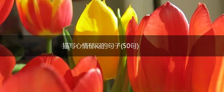 描写心情郁闷的句子(50句),第1张
