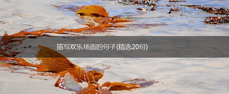 描写欢乐场面的句子(精选20句),第1张