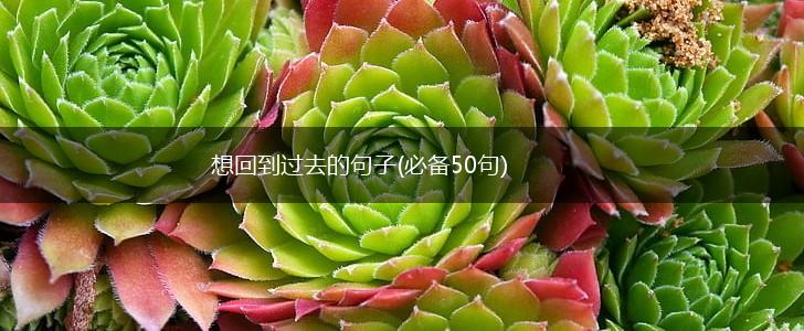 想回到过去的句子(必备50句),第1张
