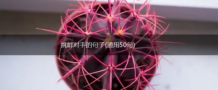挑衅对手的句子(通用50句),第1张