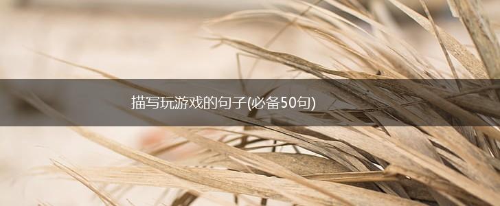 描写玩游戏的句子(必备50句),第1张