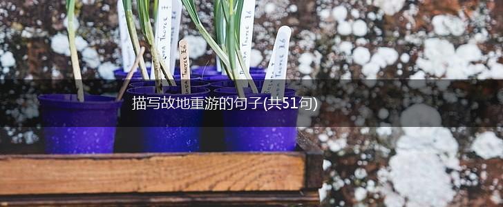 描写故地重游的句子(共51句),第1张