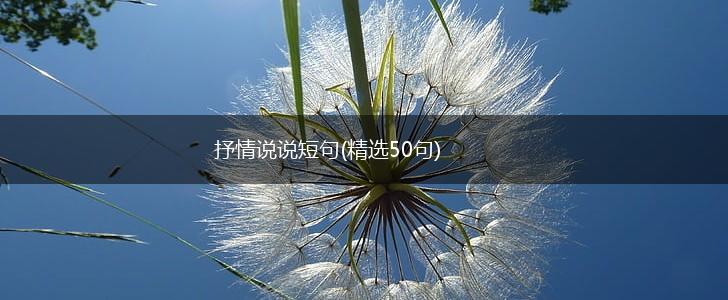 抒情说说短句(精选50句),第1张