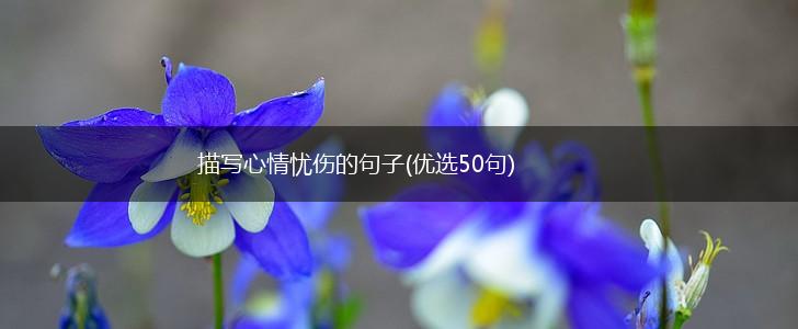 描写心情忧伤的句子(优选50句),第1张