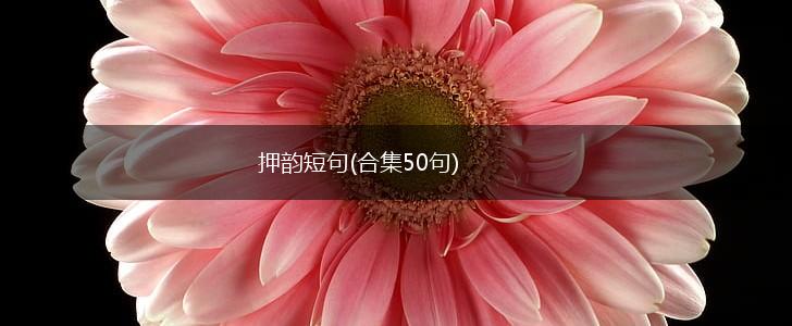 押韵短句(合集50句),第1张