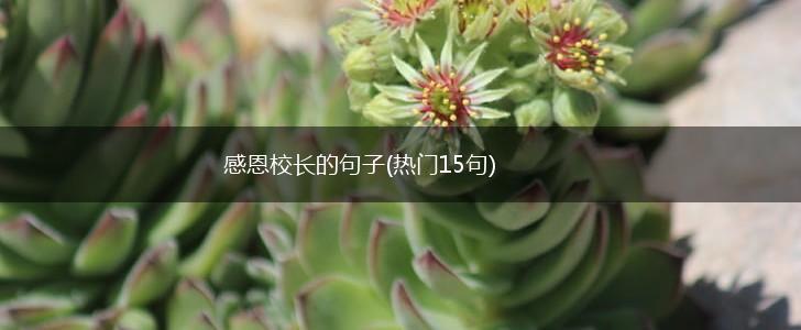 感恩校长的句子(热门15句),第1张