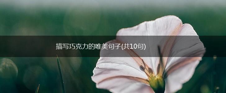描写巧克力的唯美句子(共10句),第1张