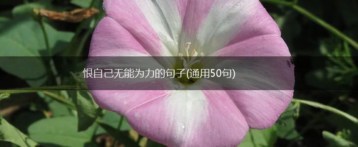 恨自己无能为力的句子(通用50句),第1张