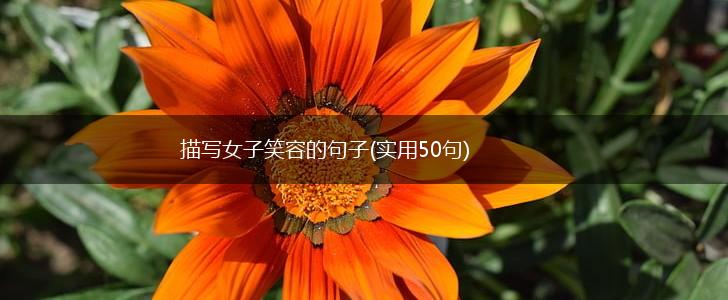 描写女子笑容的句子(实用50句),第1张