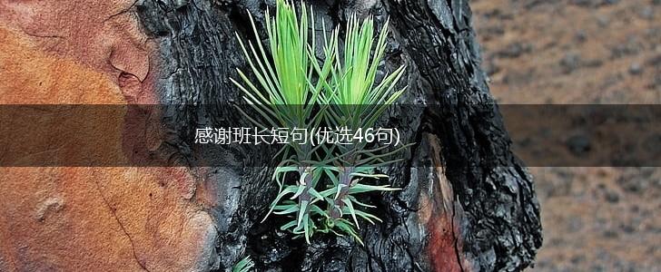 感谢班长短句(优选46句),第1张