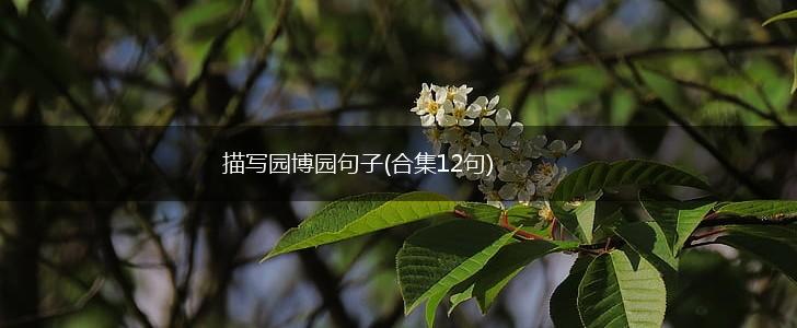 描写园博园句子(合集12句),第1张