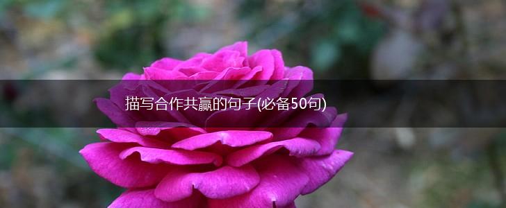 描写合作共赢的句子(必备50句),第1张