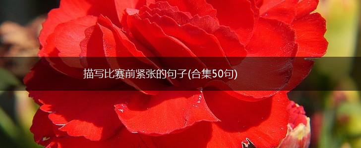 描写比赛前紧张的句子(合集50句),第1张