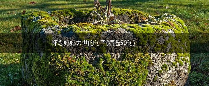 怀念妈妈去世的句子(精选50句),第1张