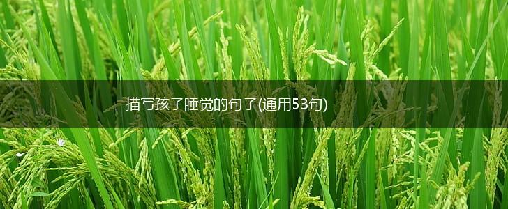 描写孩子睡觉的句子(通用53句),第1张 描写孩子睡觉的句子(通用53句),第1张