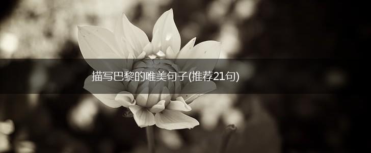 描写巴黎的唯美句子(推荐21句),第1张