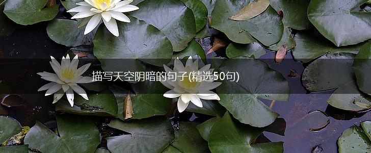 描写天空阴暗的句子(精选50句),第1张