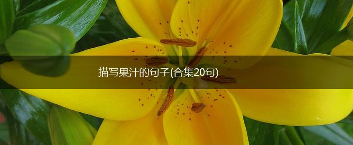 描写果汁的句子(合集20句),第1张