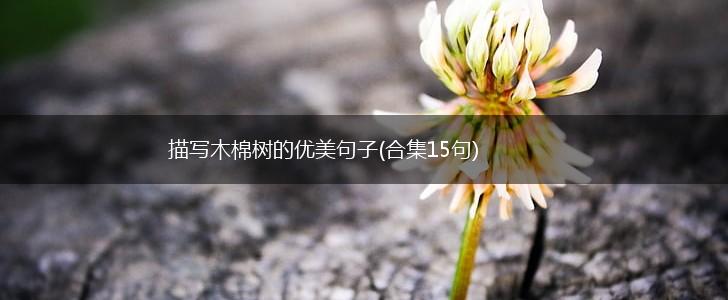 描写木棉树的优美句子(合集15句),第1张