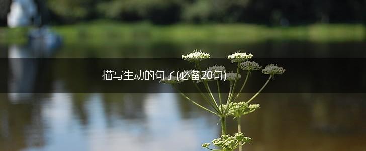 描写生动的句子(必备20句)