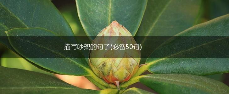 描写吵架的句子(必备50句),第1张