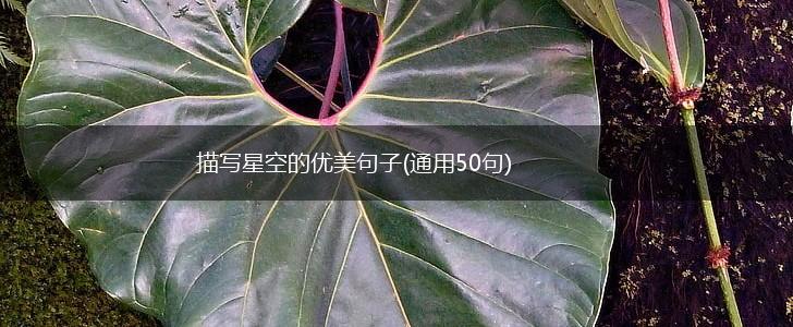 描写星空的优美句子(通用50句),第1张