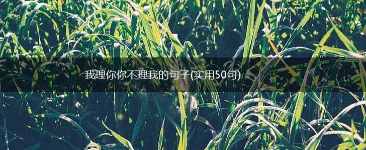 我理你你不理我的句子(实用50句),第1张