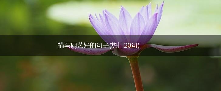 描写厨艺好的句子(热门20句),第1张