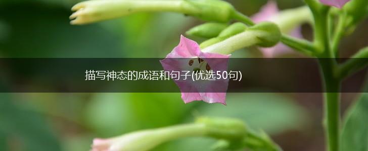 描写神态的成语和句子(优选50句),第1张