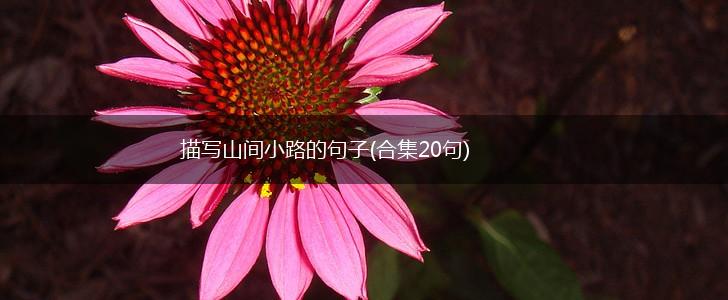 描写山间小路的句子(合集20句),第1张