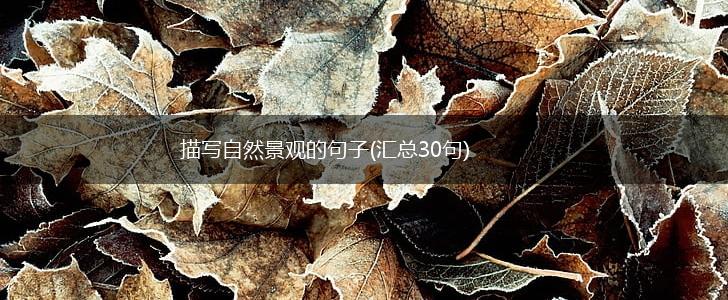 描写自然景观的句子(汇总30句),第1张