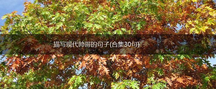 描写现代帅哥的句子(合集30句),第1张