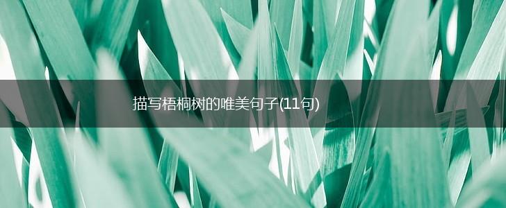 描写梧桐树的唯美句子(11句),第1张