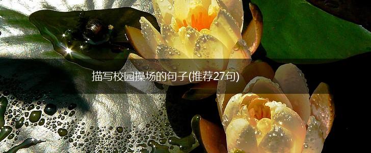 描写校园操场的句子(推荐27句),第1张